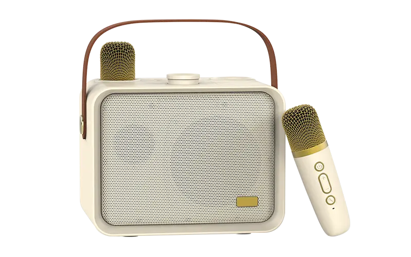 Karoke Speaker